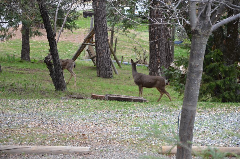 Bass Lake Annex Yosemite Bass Lake House מראה חיצוני תמונה